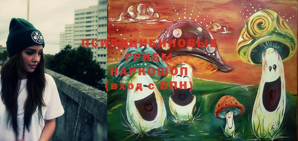 крисы Богданович