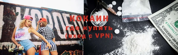 сатива Богородицк