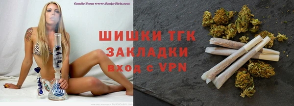 сатива Богородицк