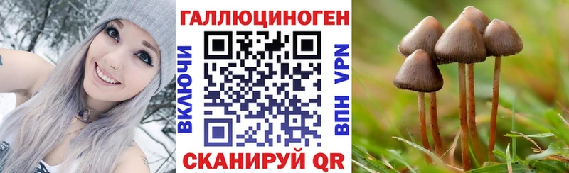 Галлюциногенные грибы MAGIC MUSHROOMS  Купить закладки  Полесск 