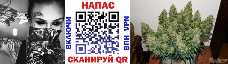 Купить где  Полесск  Бошки марихуана MAZAR 